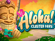 Aloha Cluster Pays — крупные выигрыши в онлайн слоте