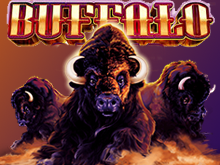 Игровой автомат Buffalo