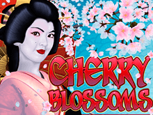 Cherry Blossoms от Микрогейминг – аппарат для азартной игры