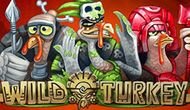 Игровой автомат Wild Turkey играть на деньги в казино Вулкан